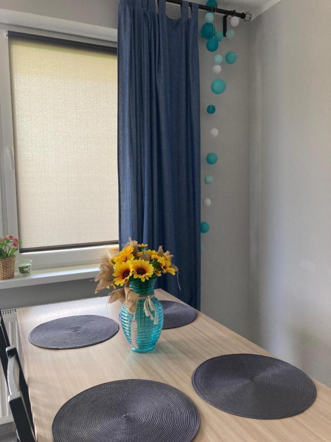דז'יבנובק Apartament Wrzos מראה חיצוני תמונה