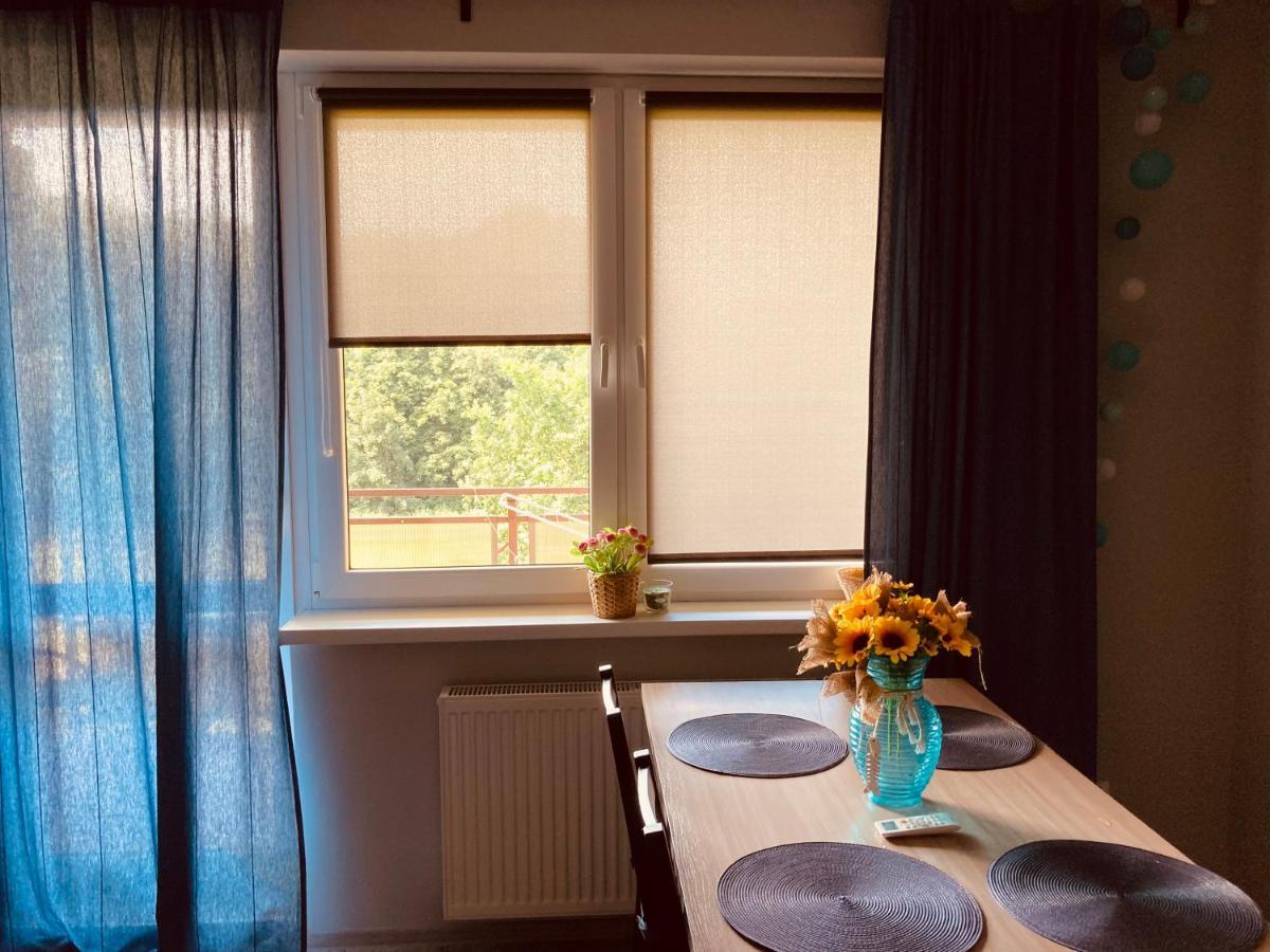 דז'יבנובק Apartament Wrzos מראה חיצוני תמונה