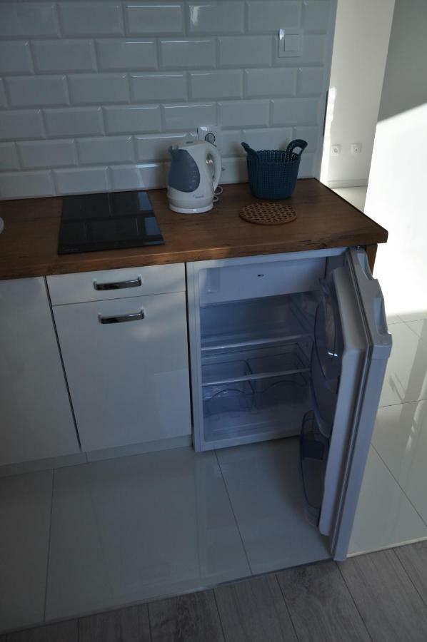 דז'יבנובק Apartament Wrzos מראה חיצוני תמונה