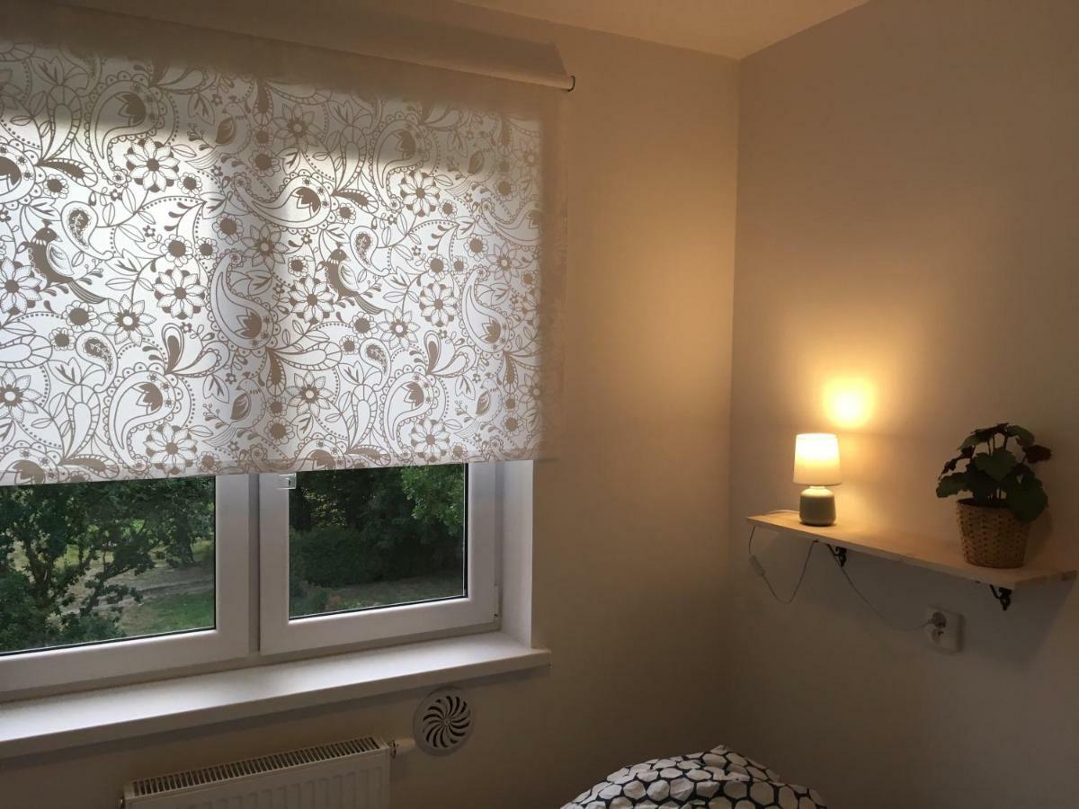 דז'יבנובק Apartament Wrzos מראה חיצוני תמונה
