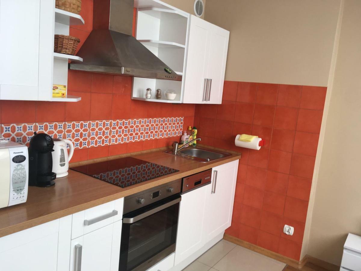 דז'יבנובק Apartament Wrzos מראה חיצוני תמונה