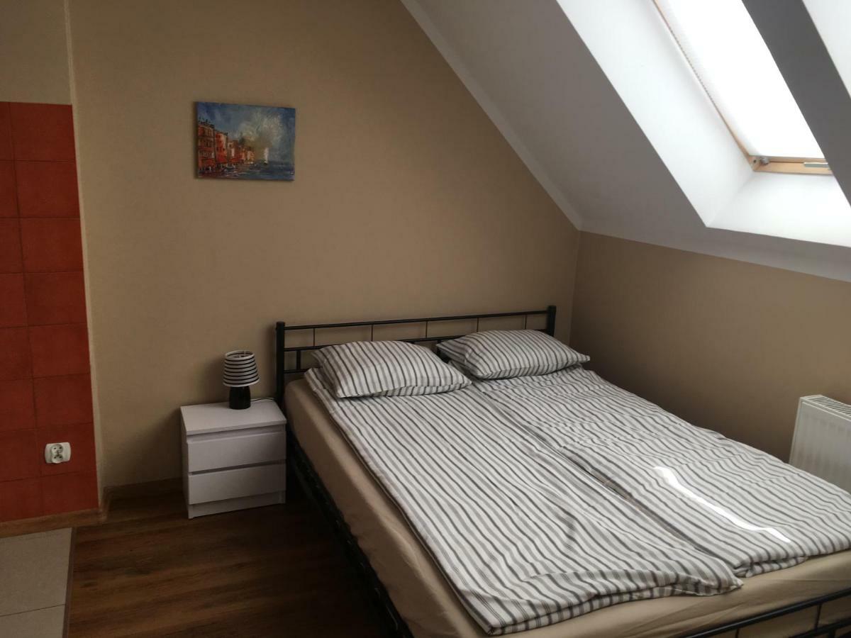 דז'יבנובק Apartament Wrzos מראה חיצוני תמונה